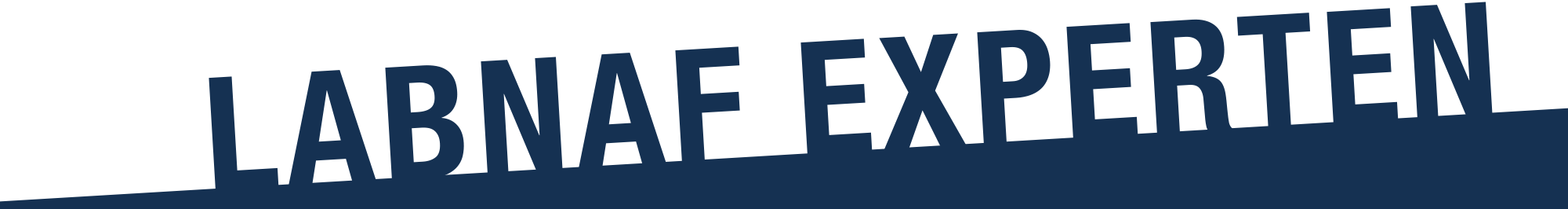 LABNAF_Experten_white